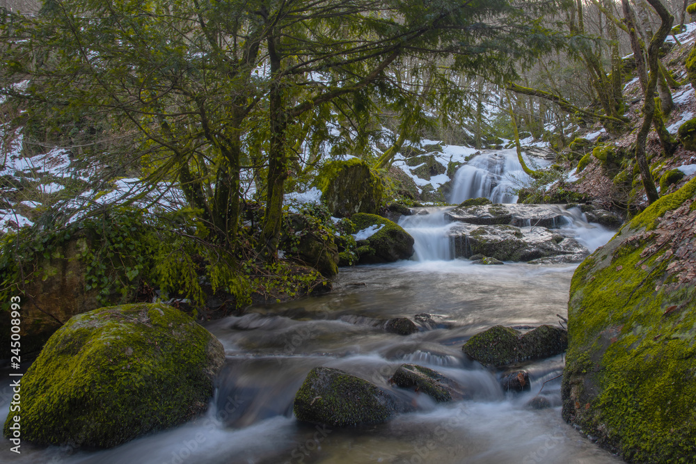 waterfall in forest