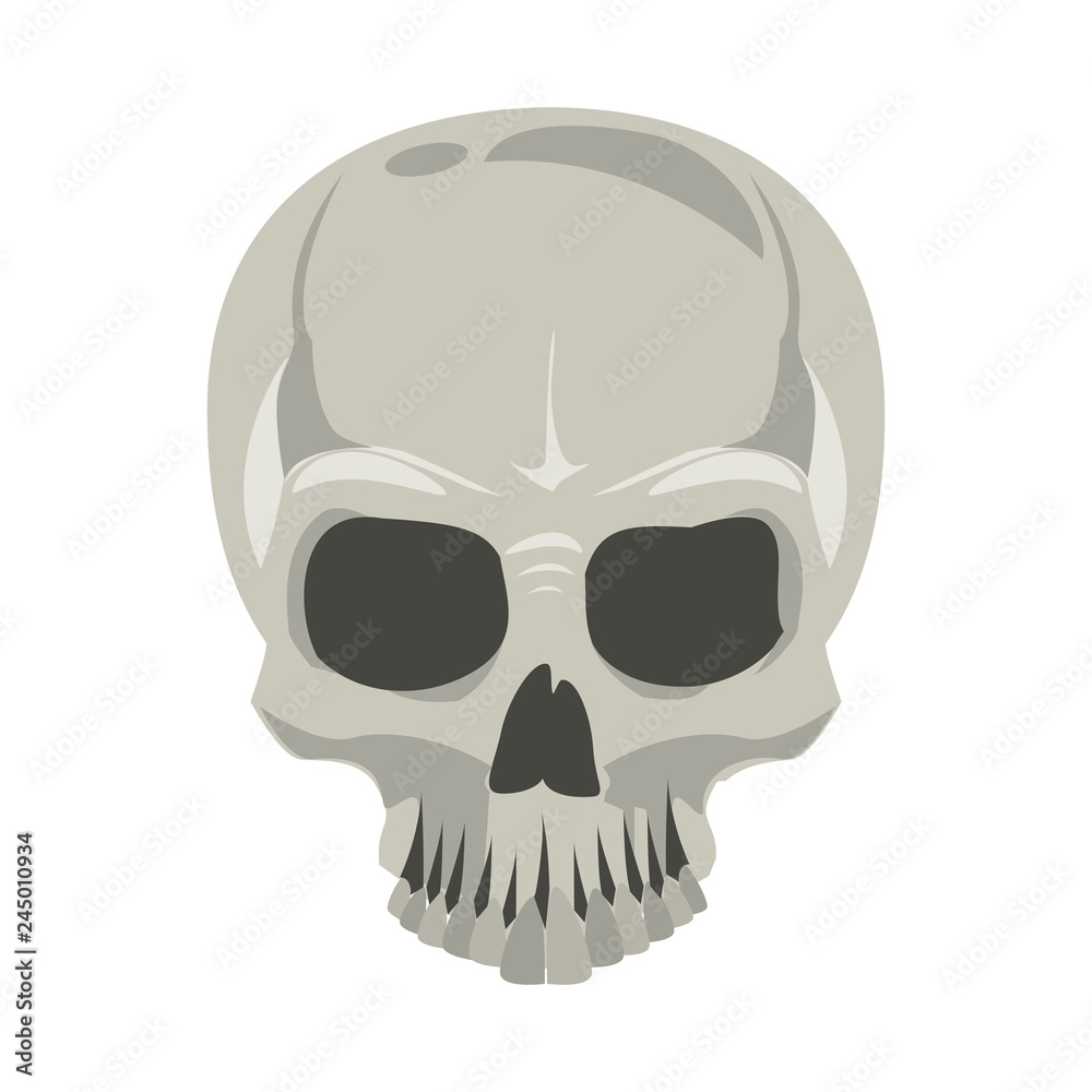 Fototapeta premium Human skull drawing