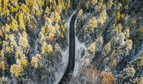 Panorama of a road trough the forest after a heavy snowfall