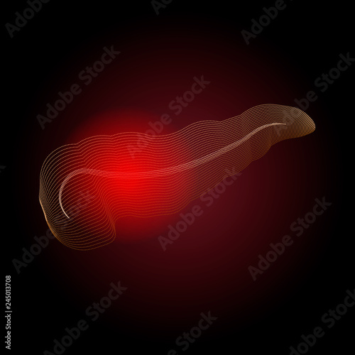 X-ray effect. Medical illustration of pancreatic diseases with a point of pain , stylization of dots. Pancreatitis