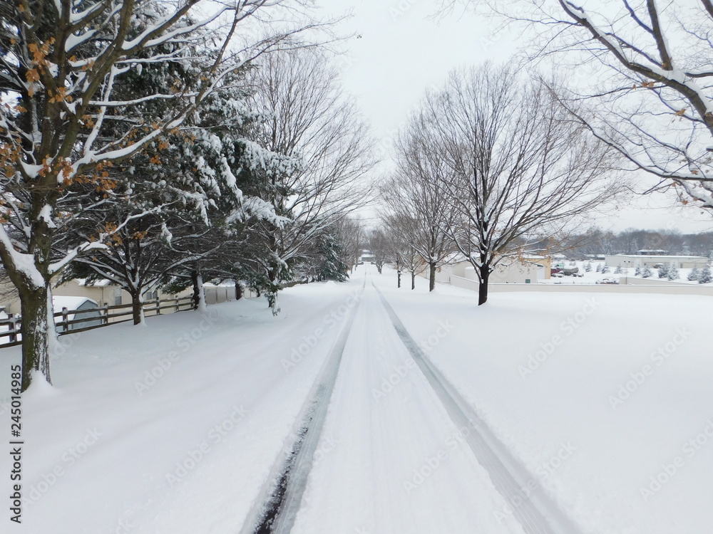snowy road snowy road