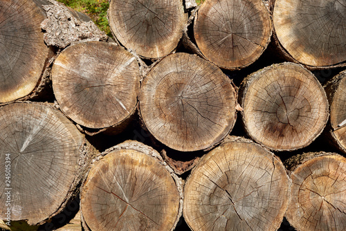Pile of wood logs.