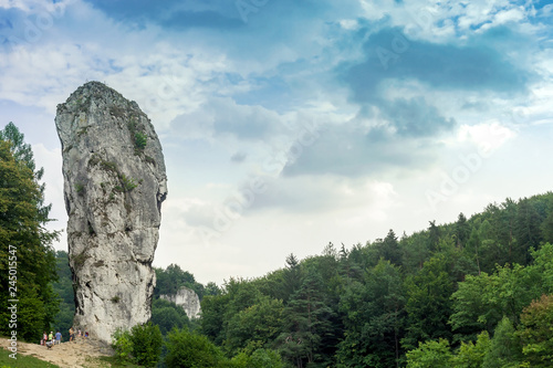 High limestone cliff and green forest in Poland