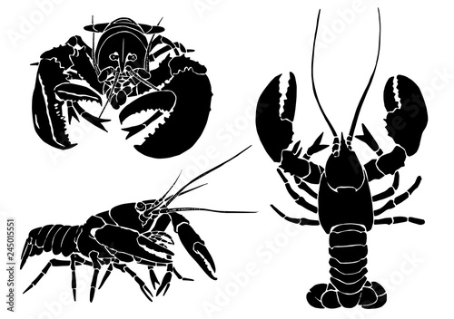 Graphical set of lobsters isolated on white background,vector sea-food sketch