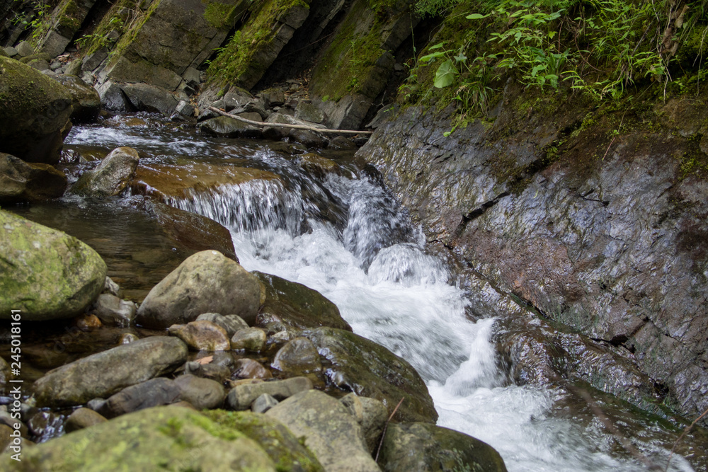 Obraz premium waterfall in forest