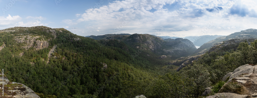 Panorama over forest in the north