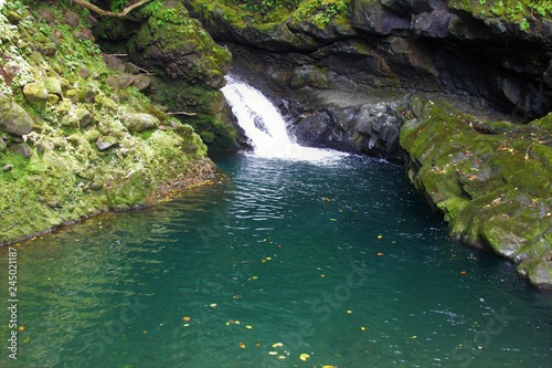 waterfall in forest