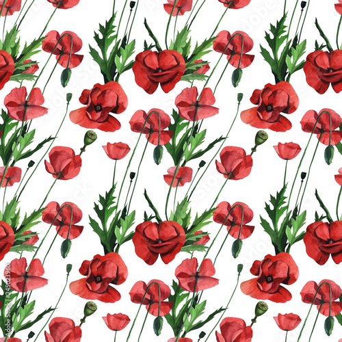 Watercolor seamless pattern with wild red poppies