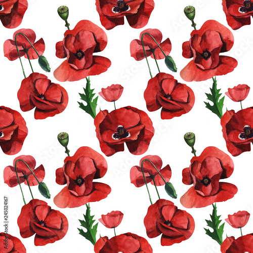 Watercolor seamless pattern with wild red poppies