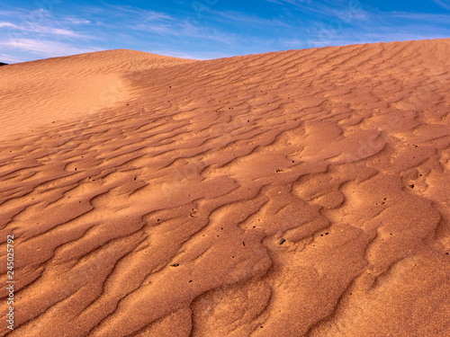 Eine extreme und wundersch  ne Landschaft ist die W  ster Sahara im S  den von Marokko