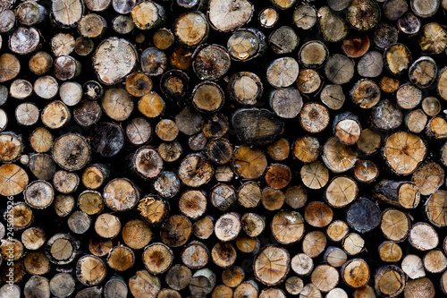 ends of logs wooden background. toning. wood in the stack. - Image photo