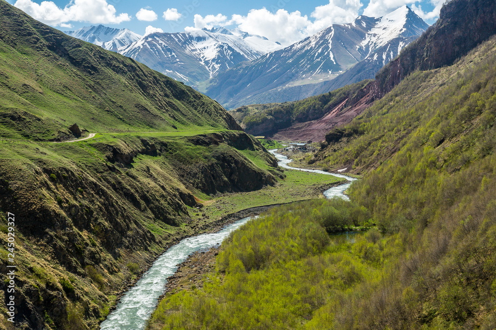 mountain river in the gorge in the spring among green and snowy peaks
