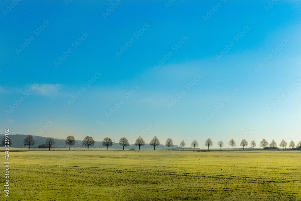 Trees on hill in Butzbach Germany Trees on hill in Butzbach Germany