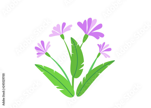 Simple bouquet vector with spring garden blooming flowers illustration. Fashion floral springtime nature plant elements isolated on white background in minimal style
