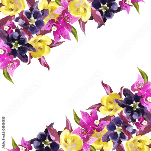 Принти на полотні Beautiful floral background of Bougainvillea and Aquilegia