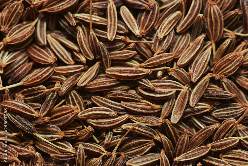 dry Caraway Seed dry Caraway Seed