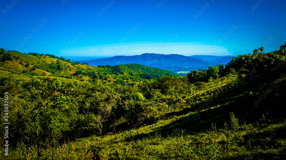 Green landscape on the countryside mountains Green landscape on the countryside mountains