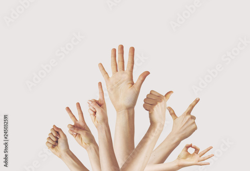 Multiple female hand gestures on gray background
