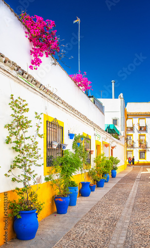 Old town of Cordoba with flowers © Horváth Botond