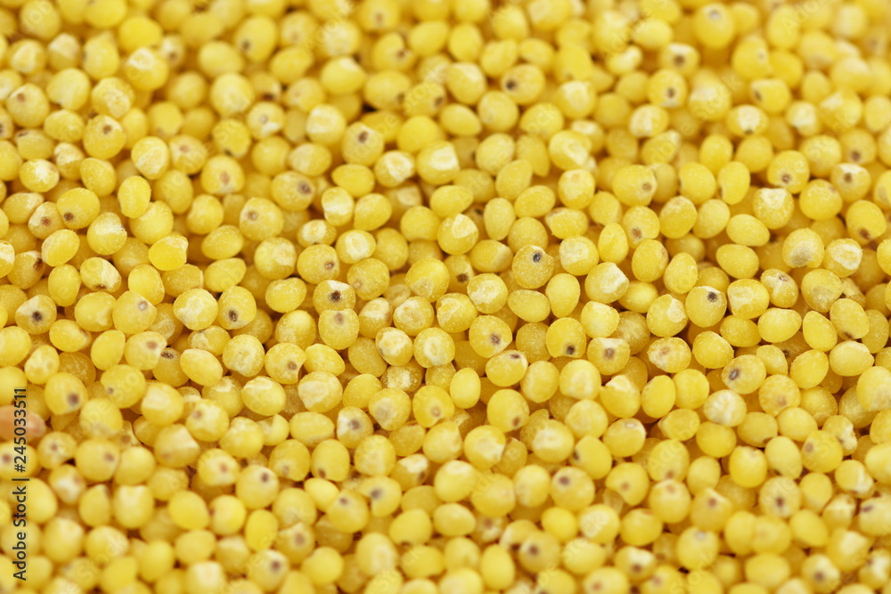 hulled millet (Panicum miliaceum) grains