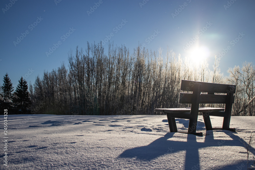 Lone wooden bench sitting amidst a layer of white fluffy snow beneath bright skies