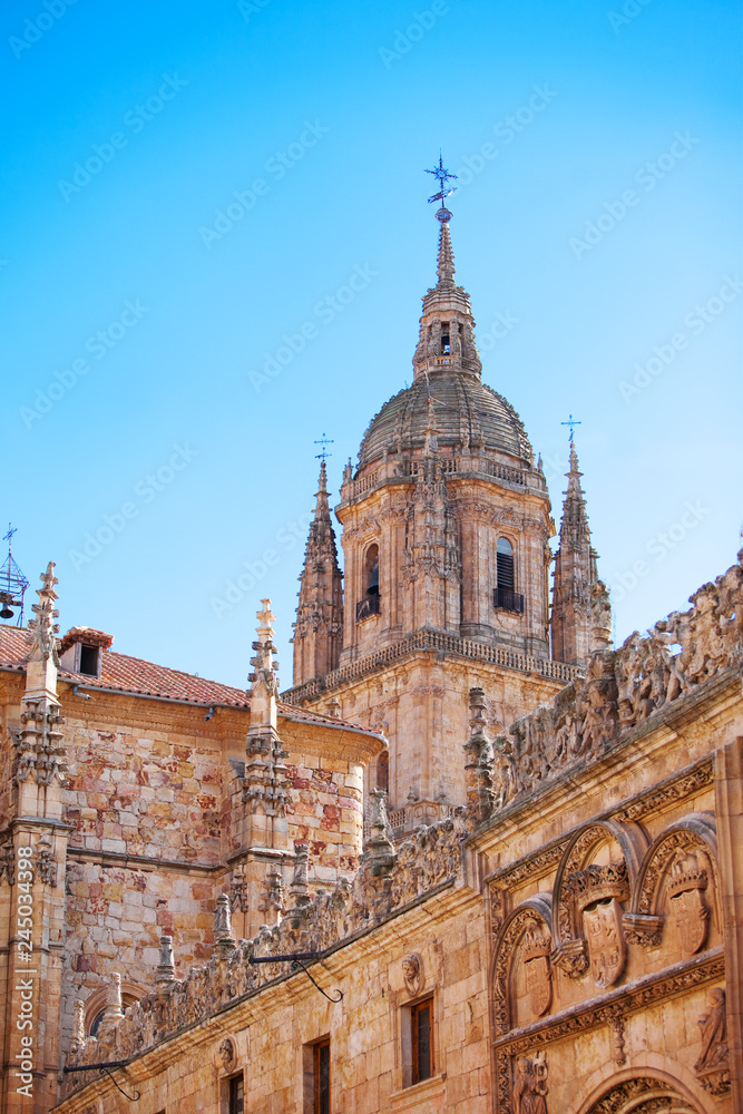 View of the dome of the great Catholic Cathedral in Salamanca, 