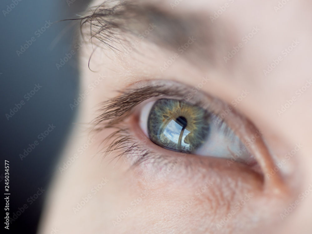 Obraz premium Human eye close-up. Macro photo of blue eye.