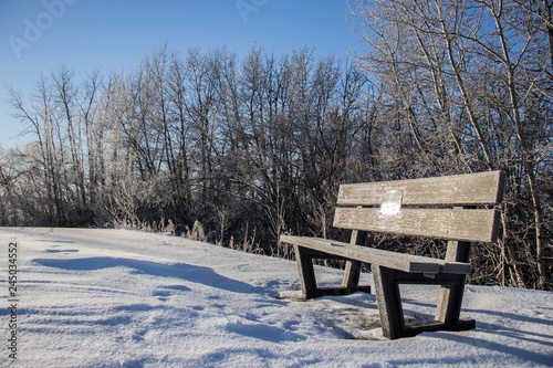 Lone wooden bench sitting amidst a layer of white fluffy snow beneath bright skies