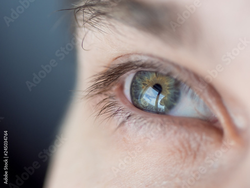 Human eye close-up. Macro photo of blue eye.