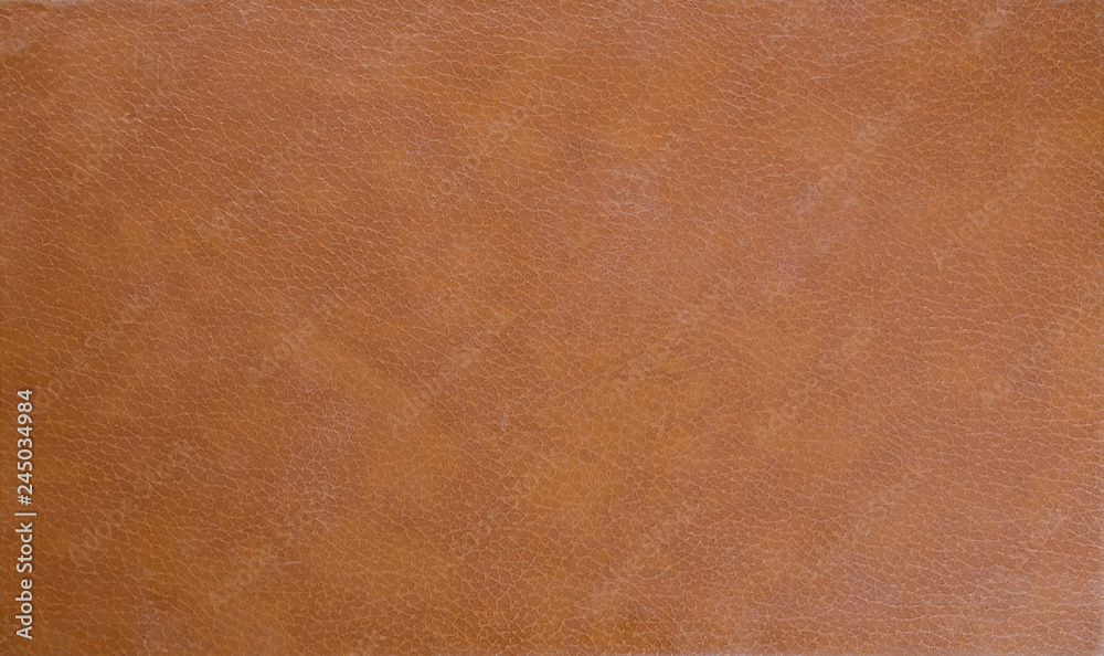 Color texture of the book cover. Background of old book. Color texture of the book cover. Background of old book.
