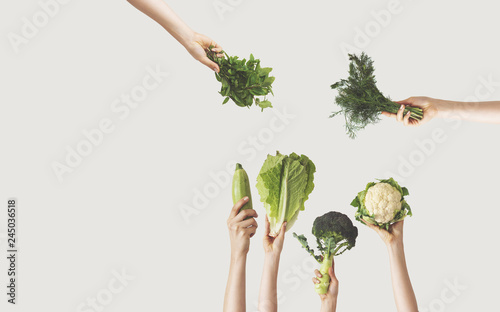 Hands holding different green vegetables on isolated background