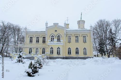 Scenic snowy winter landscape trees on the side and old mansion on distance.