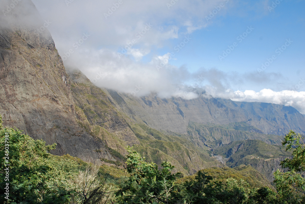 Fototapeta premium reu287