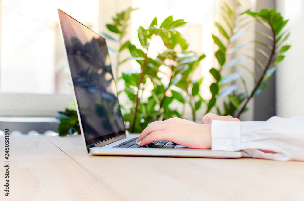 Secretary typing on laptop in a beautiful sunny office Secretary typing on laptop in a beautiful sunny office