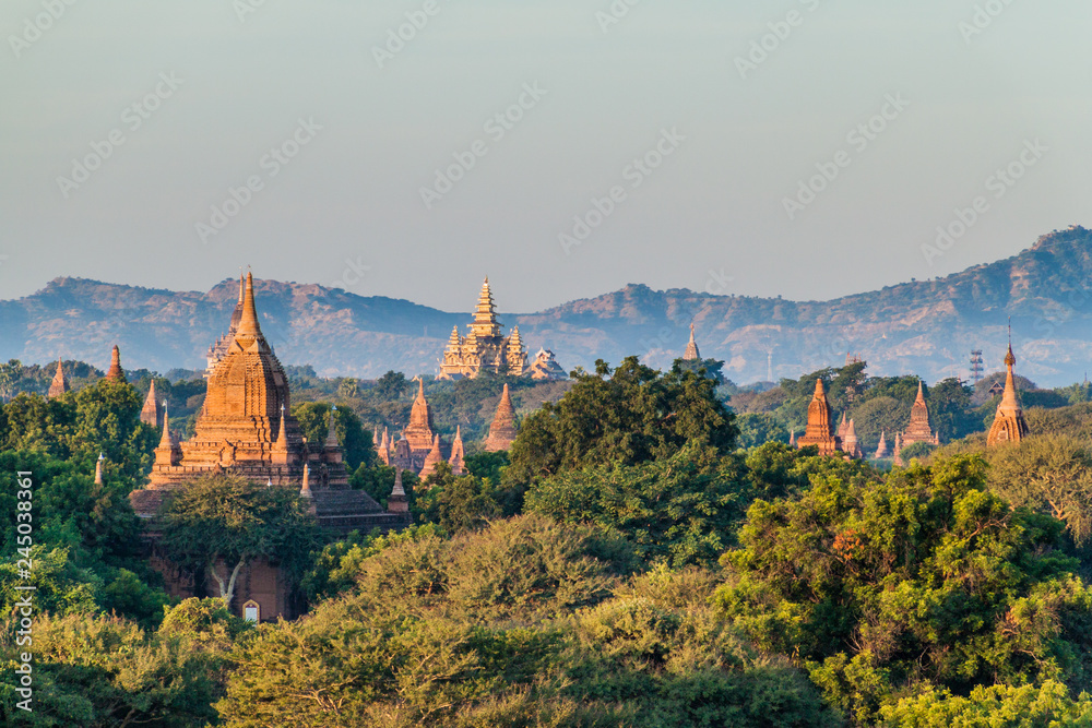 Fototapeta premium Skyline of temples in Bagan, Myanmar
