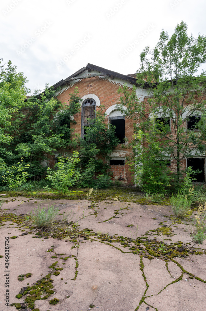 Obraz premium Old abandoned house. House without tenants. Vertical frame.