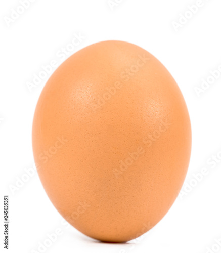 .chicken egg on white background