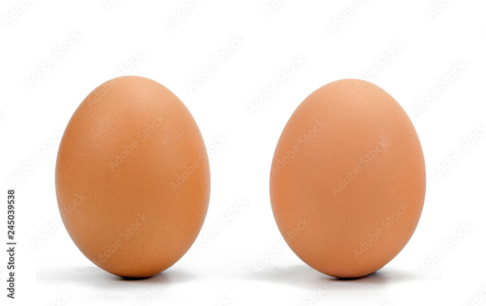 two brown chicken eggs in a row against a white background. two brown chicken eggs in a row against a white background.