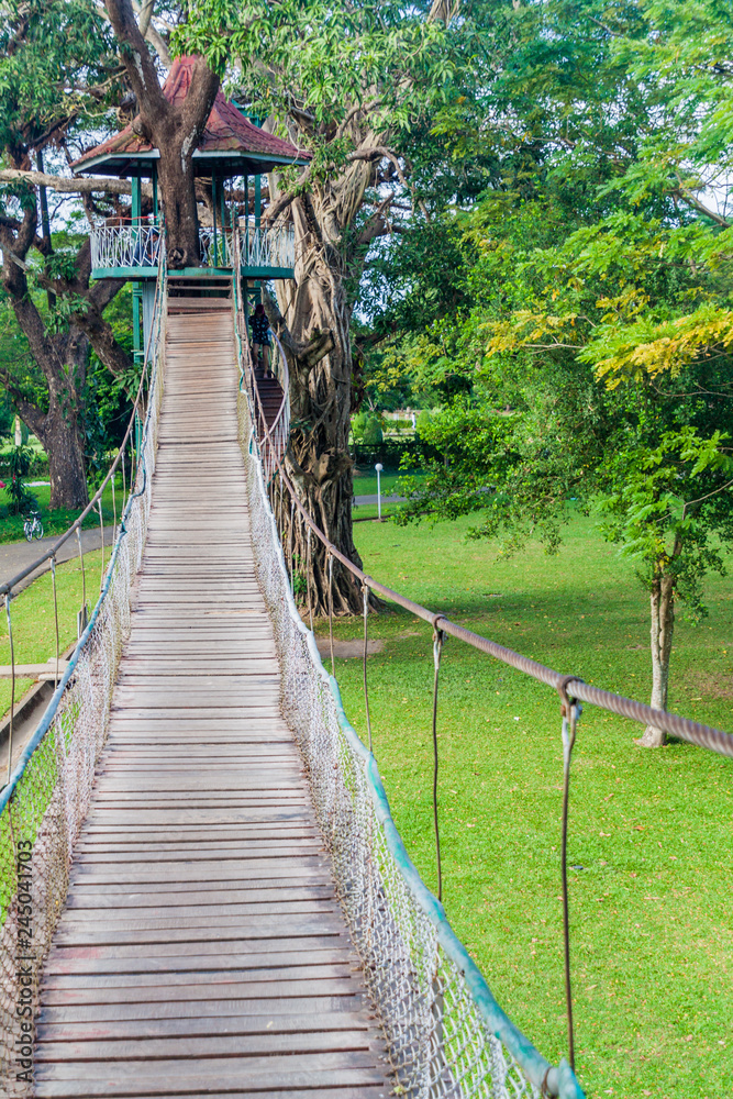 Tree tower and suspension bridges in People's Park in yangon, Myanmar Tree tower and suspension bridges in People's Park in yangon, Myanmar