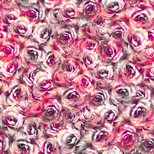 Fototapeta Naklejka Na Ścianę i Meble -  Rose pattern, pink rose pattern, seamless floral pattern.