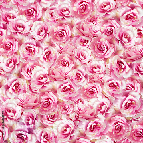 Rose pattern  pink rose pattern  seamless floral pattern.