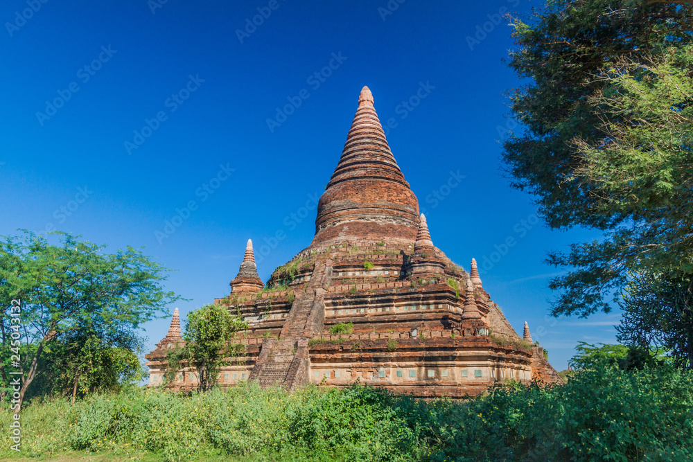 Overgrown pagoda in Bagan, Myanmar.