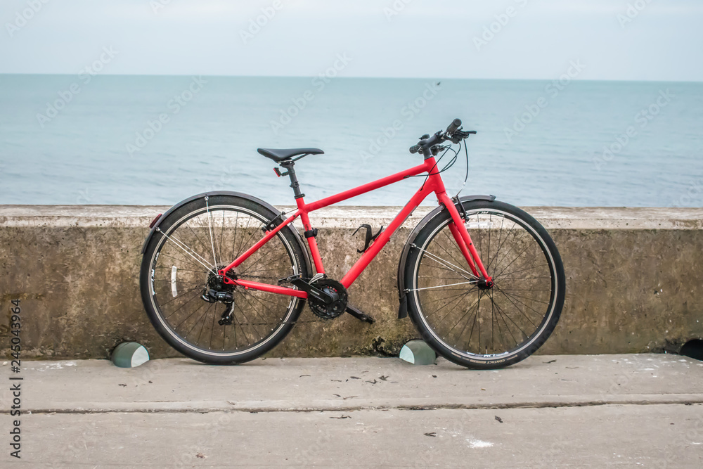 Bicycle on it's own, leaning against a wall with ocean background