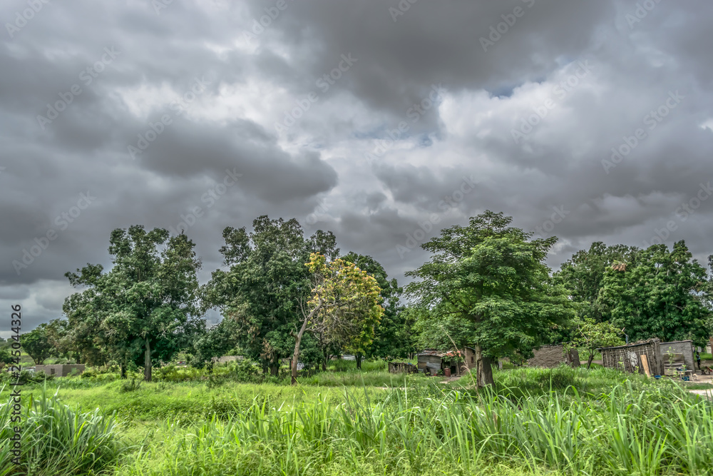View with typical village houses, baobab trees and other types of vegetation, power lines and cloudy sky as background