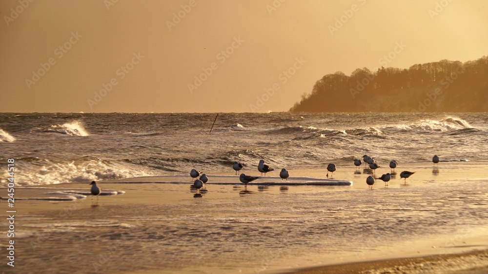 Ostsee Insel Rügen im Winter