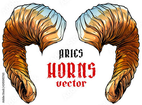 Cartoon colorful detailed big sharp ram horns or antlers. Hunting trophy. Isolated on white background. Vector icon.