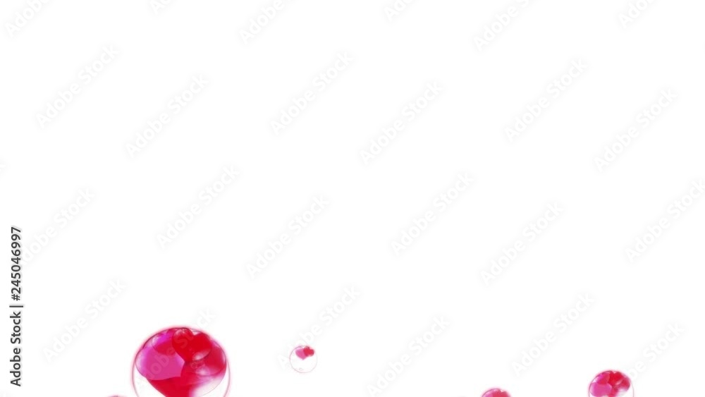red hearts in the bubbles, fly up, on a white background red hearts in the bubbles, fly up, on a white background
