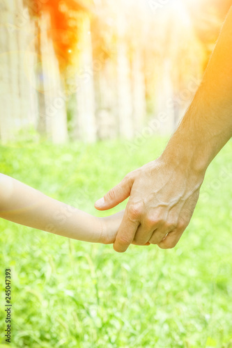 beautiful hands of a child and a parent in a park in nature © Kostia