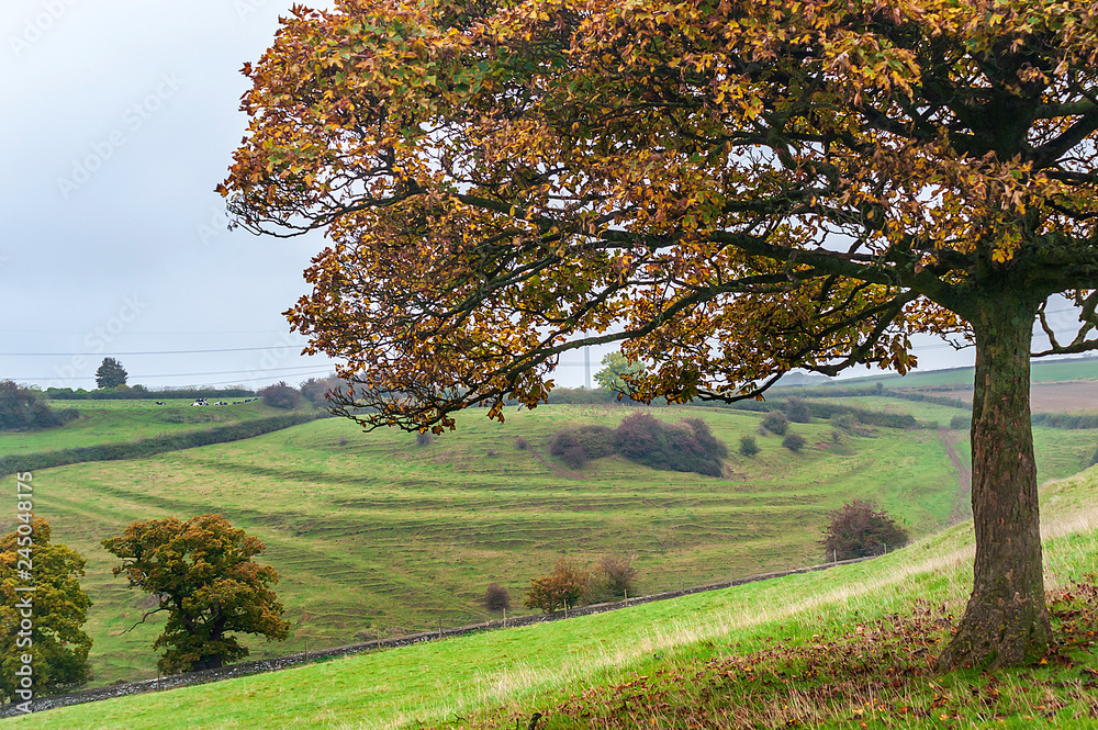 Autumnal rural landscape - a natural scenery