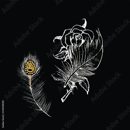 Feather and rose embellishment in vector.